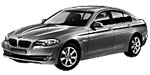 BMW F10 U11DE Fault Code